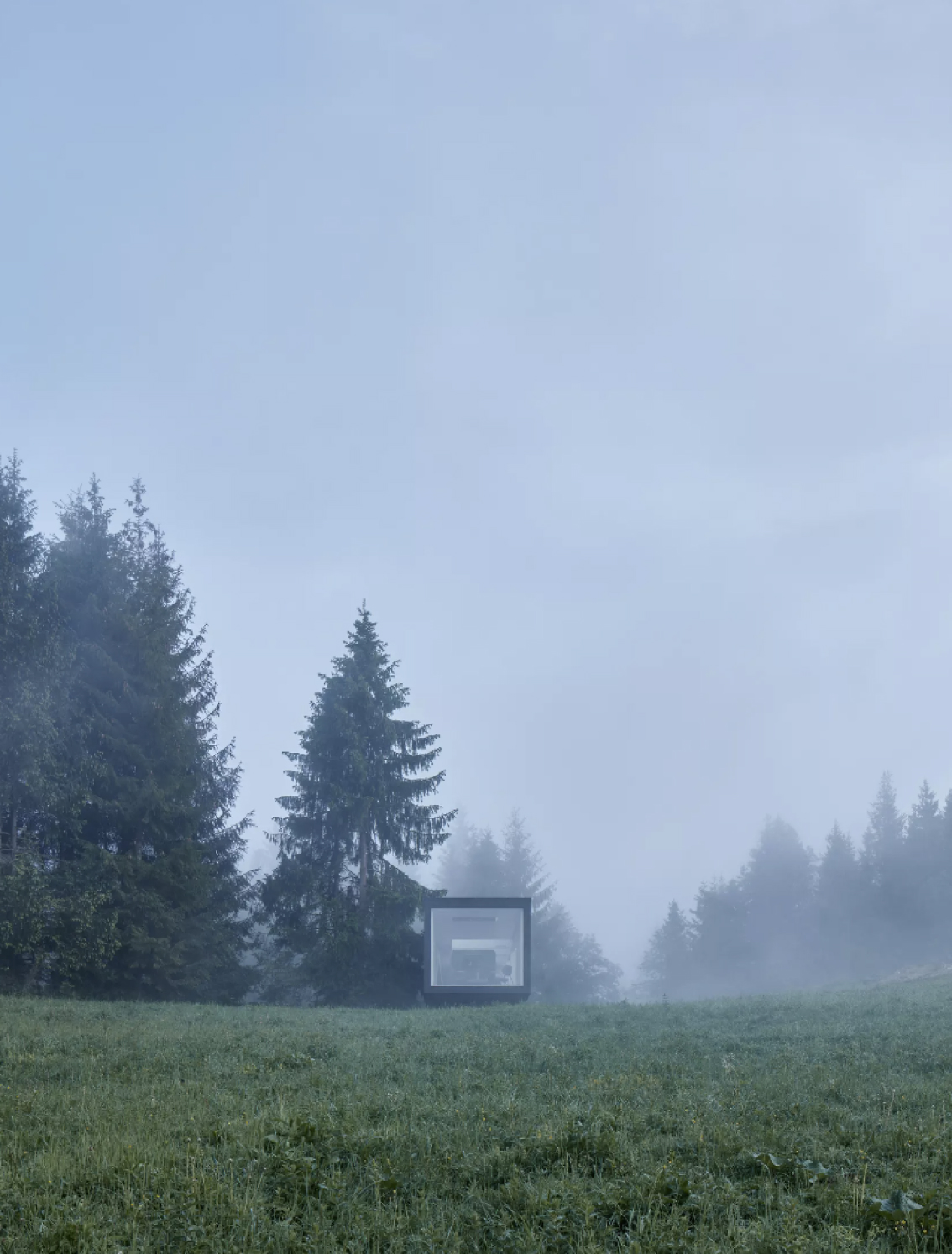 Ark-Shelter built in a foggy pine forest